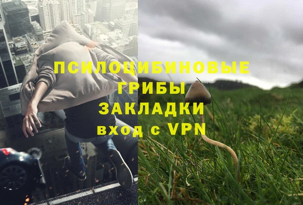 дмт Беломорск