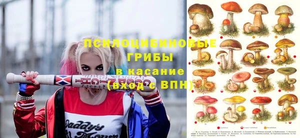 дмт Беломорск
