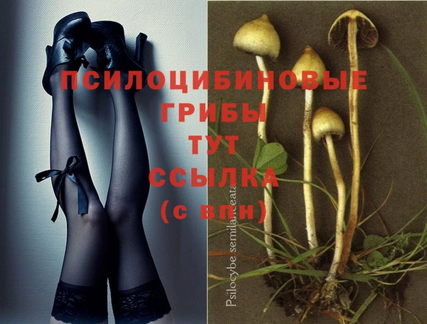 герыч Белокуриха